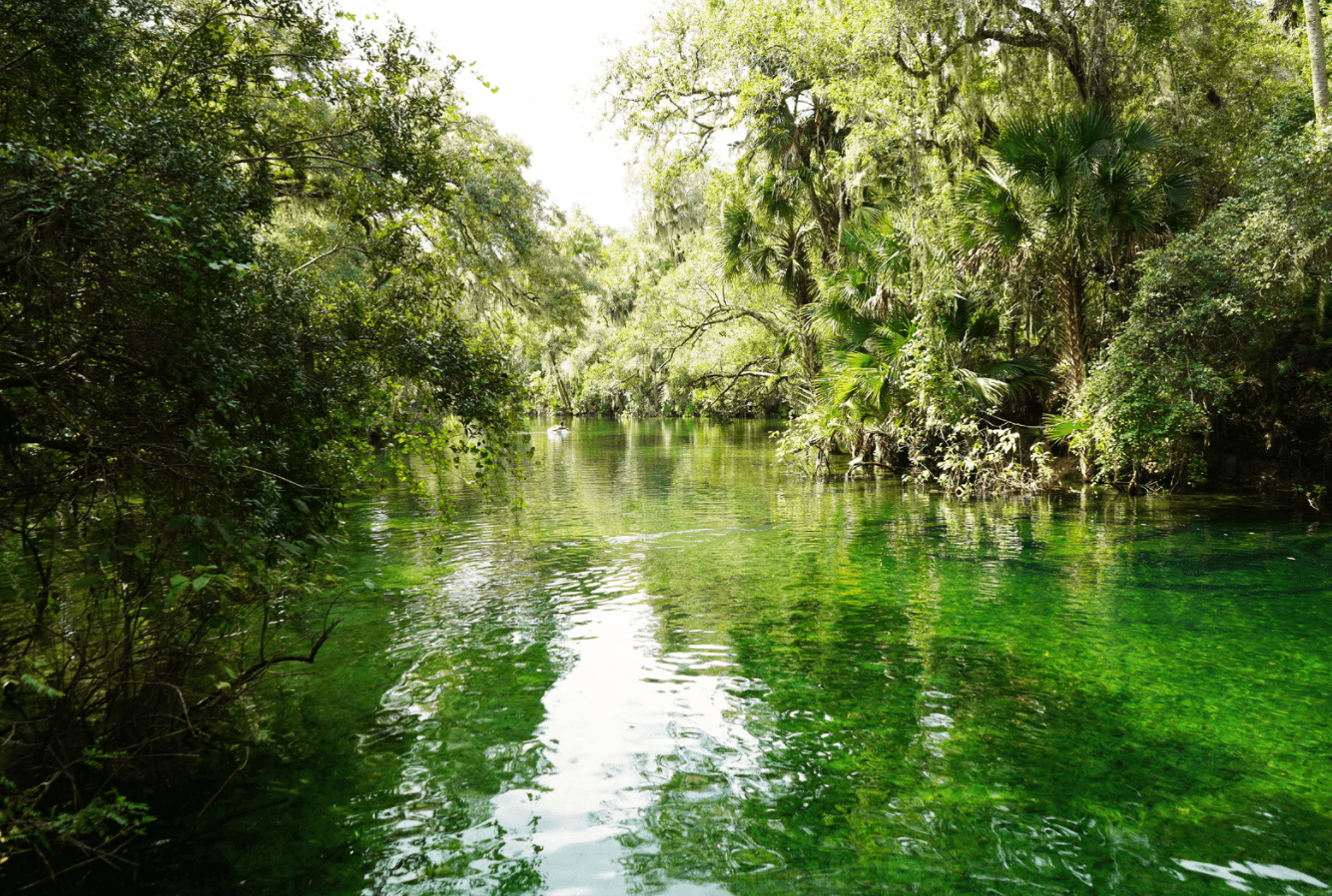 Discover 11 Natural Springs Near Orlando: Explore Hidden Gems in