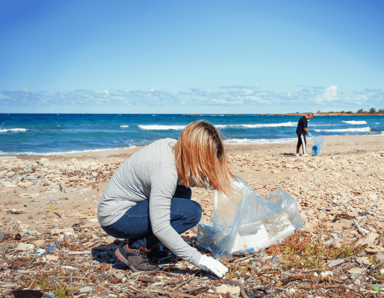 The Ocean, Environment and Climate Change