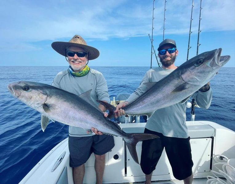 How to catch amberjack fish in St. Petersburg, Florida