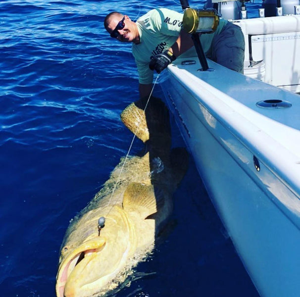 Goliath Grouper Fishing | Everything You Need To Know