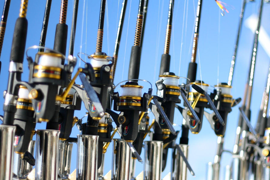 How to Read a Tide Chart for Fishing and Boating